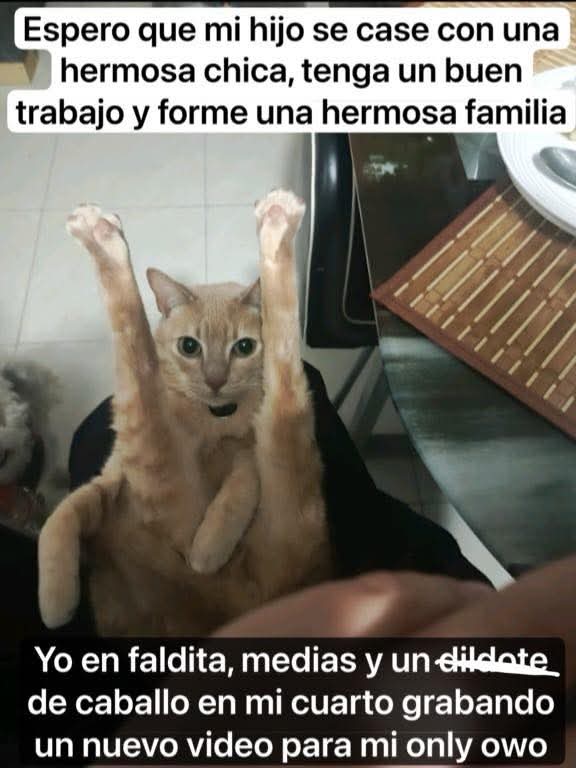 Abellcymeg's tweet image. 