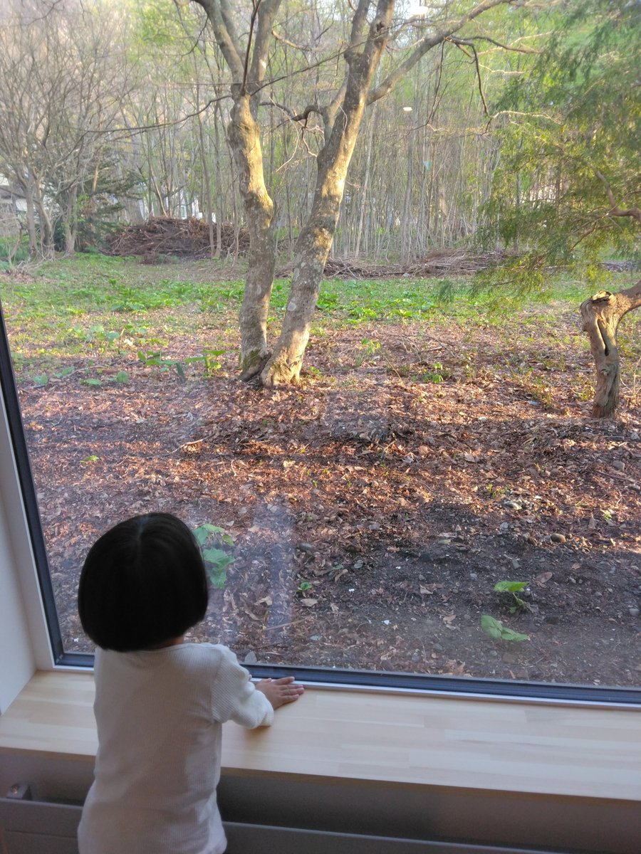 昨日、第61回谷崎潤一郎賞に決まった『熊はどこにいるの』(河出書房新社)2020年11月に甥っ子が生まれ、盛岡で3年間、みっちり子育てに関わったおかげで書けた小説です。再来月に5歳になります。パレスチナで毎日沢山の子どもが殺され続けているのが、つらくてなりません。