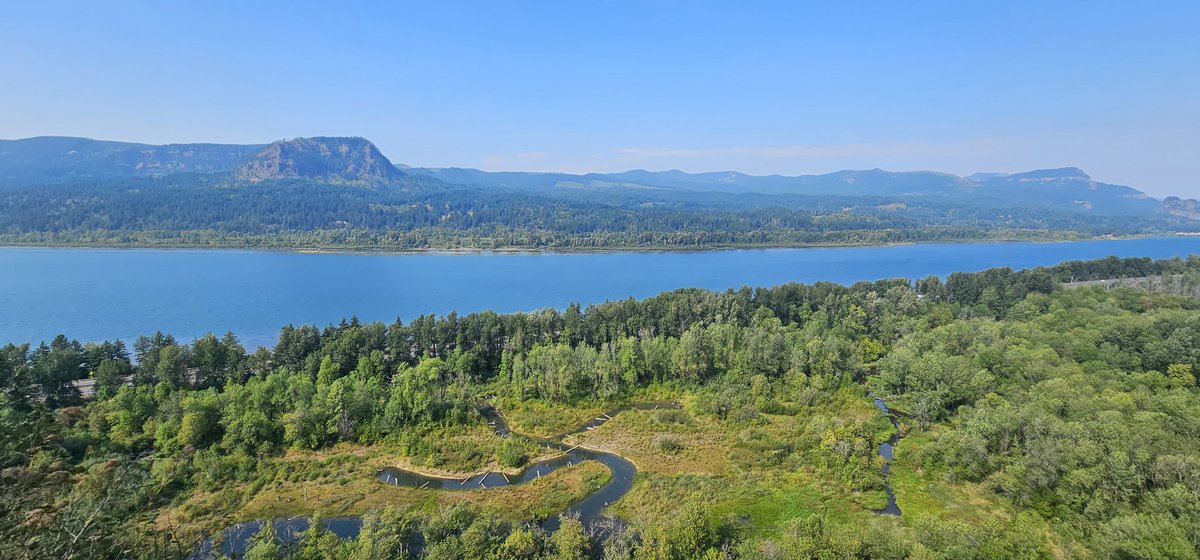 Navid | Video Editor tweet media