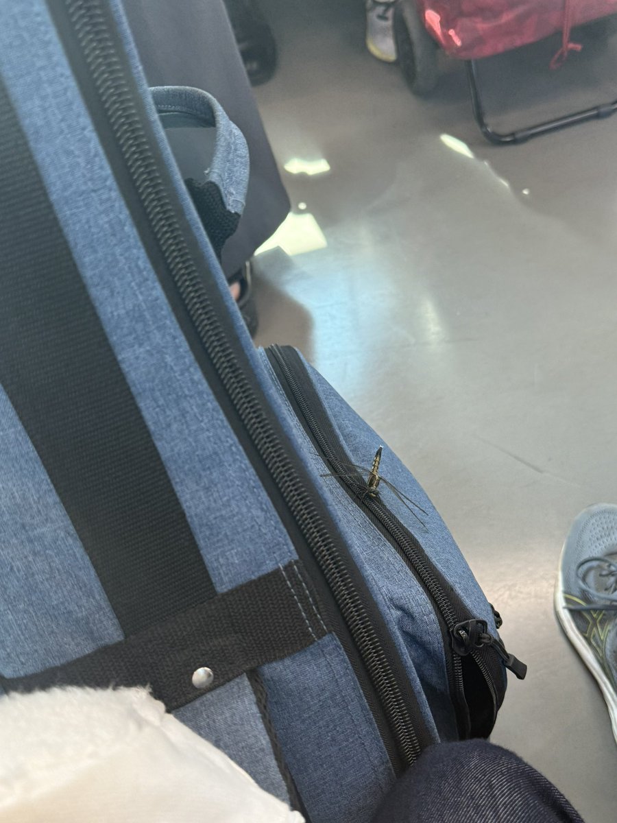 ぶわあ！！、！！！！！！！！！
ぶわ、ブワア！！！！！！トンボァ！！！！！！！！！！！！！！たすけて！！！！！！！！！！！！