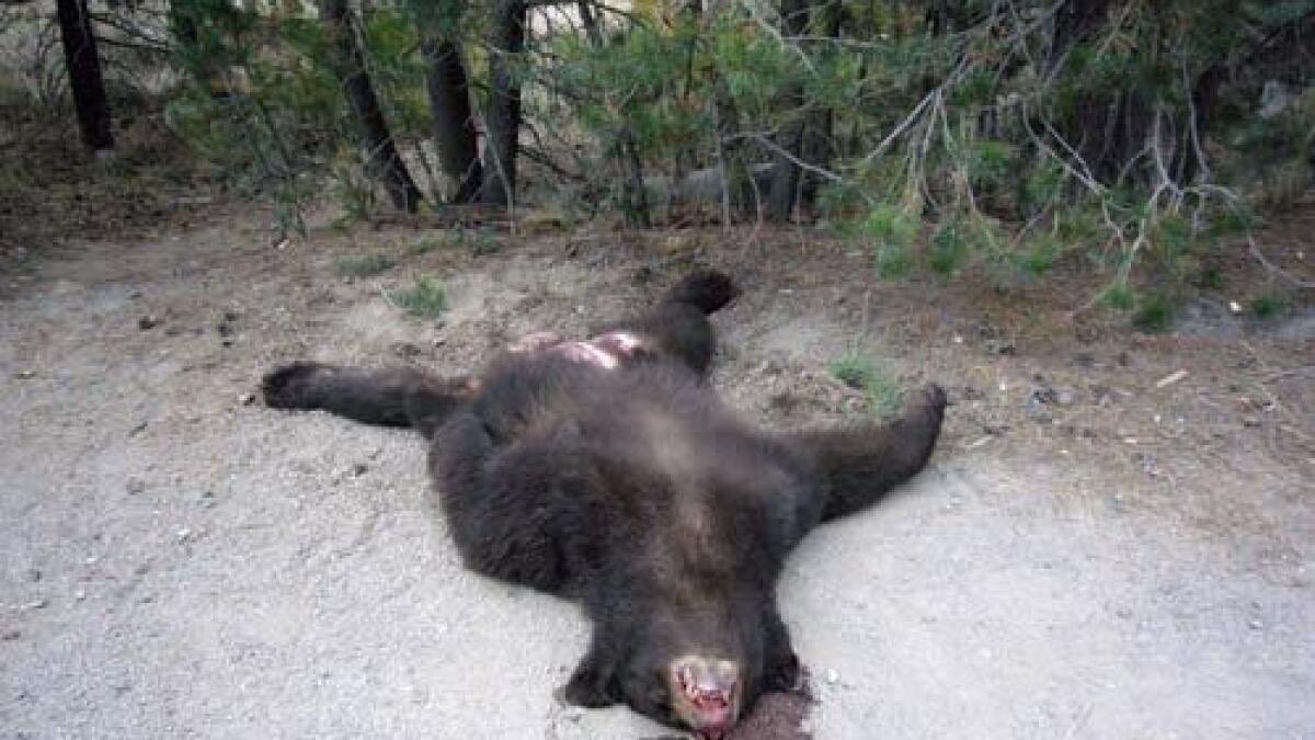 Chanute Barstool tweet media