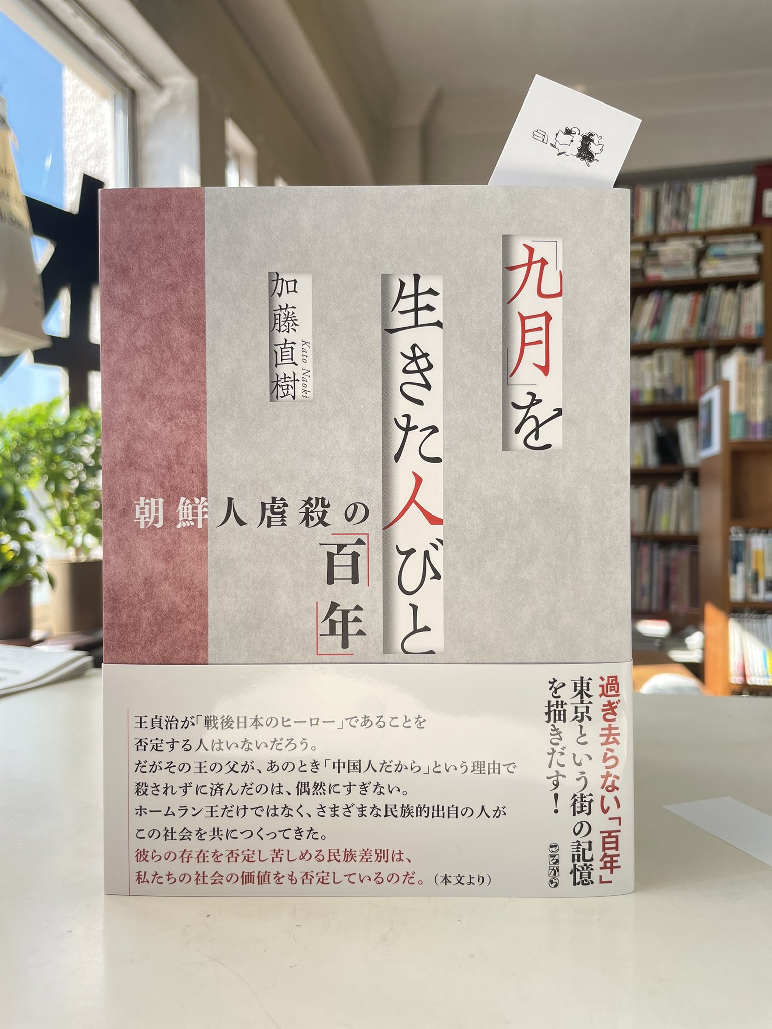 SHEEPSHEEP BOOKS on X: 