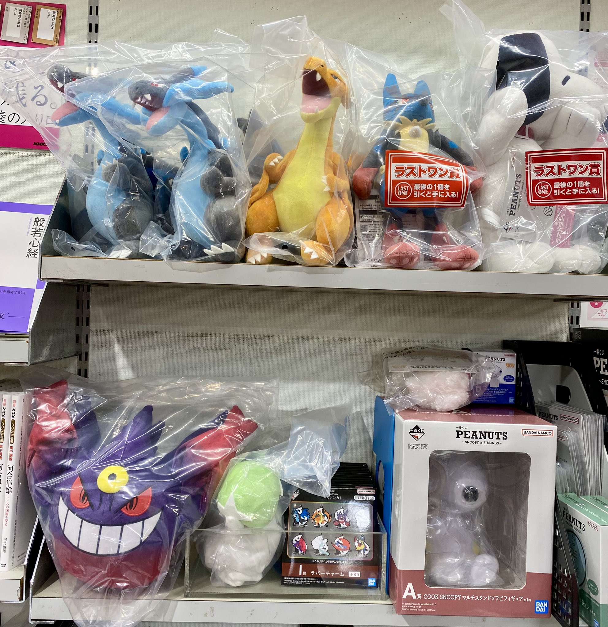 c*w様 ポケモン 一番くじ B賞 ラストワン賞 リザードンY