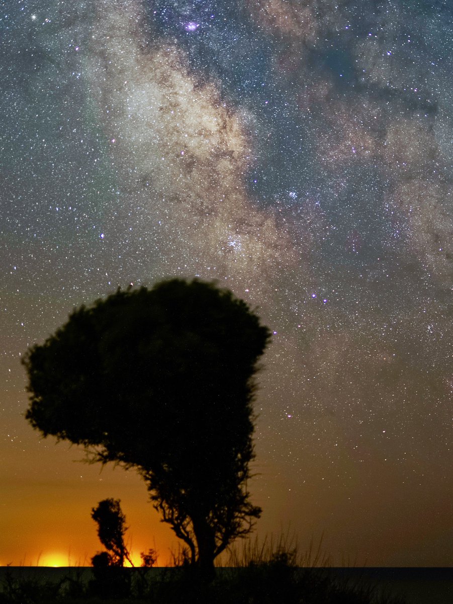 “Sağanak var, yıldız tozu yağıyor göğe”