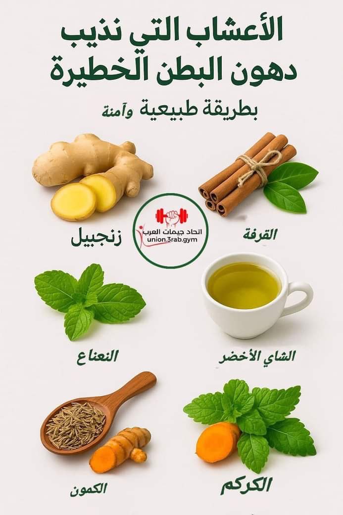 الأعشاب التي تذيب دهون البطن الخطيرة