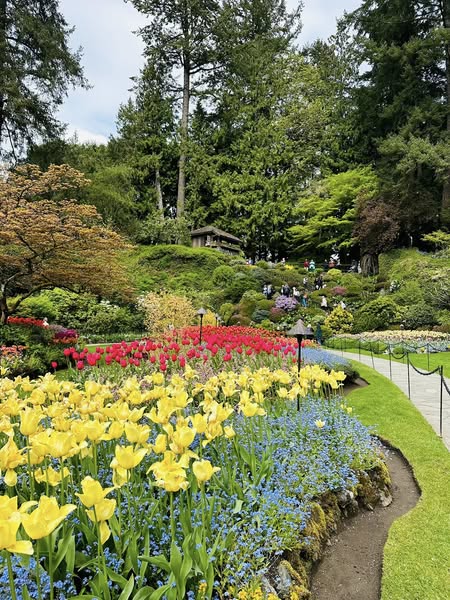 2011_alsultan's tweet photo. Lost in the beauty of nature, finding peace among the flowers ����🌿 #NatureLover #GardenVibes https://t.co/KPcCoKmfKN