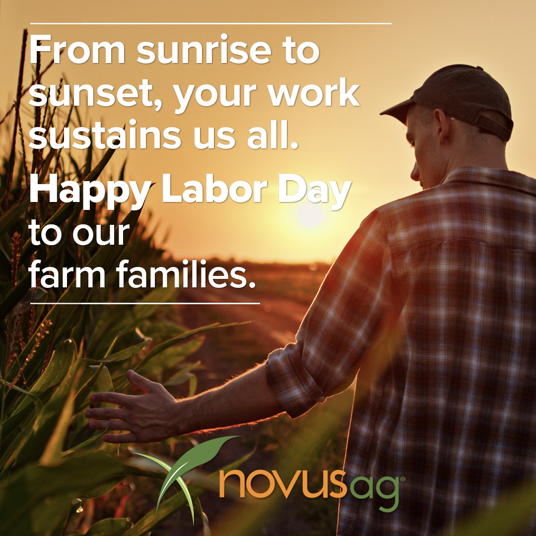 Labor Day is a time to celebrate the dedication, resilience, and grit of farm families everywhere. Thank you for feeding the world.

#agriculture #novusag #america #freedom #LaborDay2025