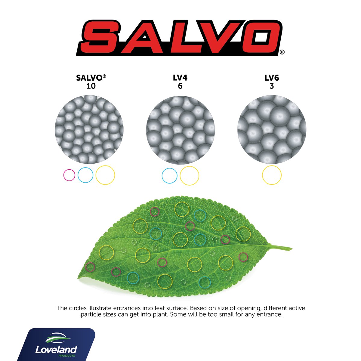 If you’re looking for a top-performing 2,4-D ester herbicide, you’ve found it in SALVO®.

✅ Broad-spectrum weed control
✅ Superior spray tank emulsion
✅ Smaller particle size than other esters

Connect with your Nutrien Ag Solutions® Crop Consultant to learn more today!