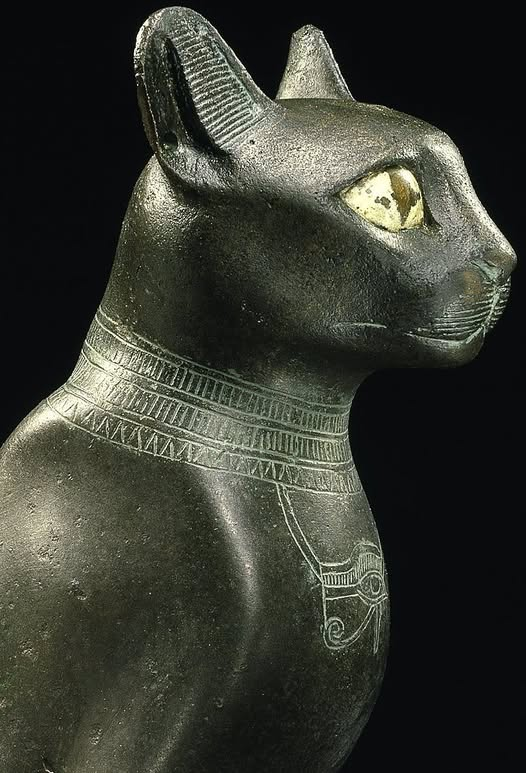 SubRosaMagick's tweet image. Statue of the goddess Bastet. Late Period ~ ca.600 BCE. Collection: Neues Museum, Staatliche Museen zu Berlin
#AncientEgypt #Bast #Caturday