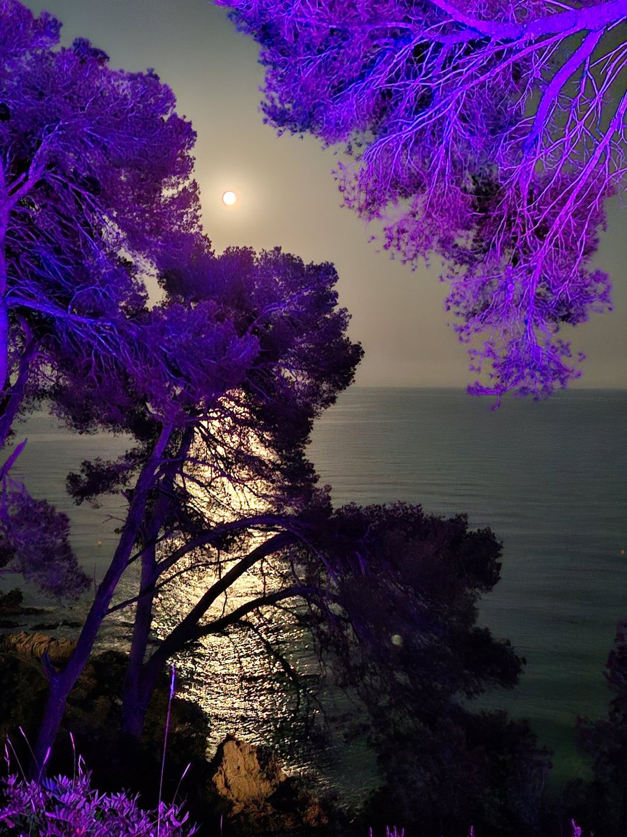 Nits màgiques i de serenor. Piano a <a href="/obreria/">Obreria de Santa Cristina</a> #lloret Amb Ines Reinoso acomiadem l estiueig un any més. Gràcies <a href="/BoschArseni/">Arseni Frigola 🌹</a> I a l <a href="/obreria/">Obreria de Santa Cristina</a> per l' organització.