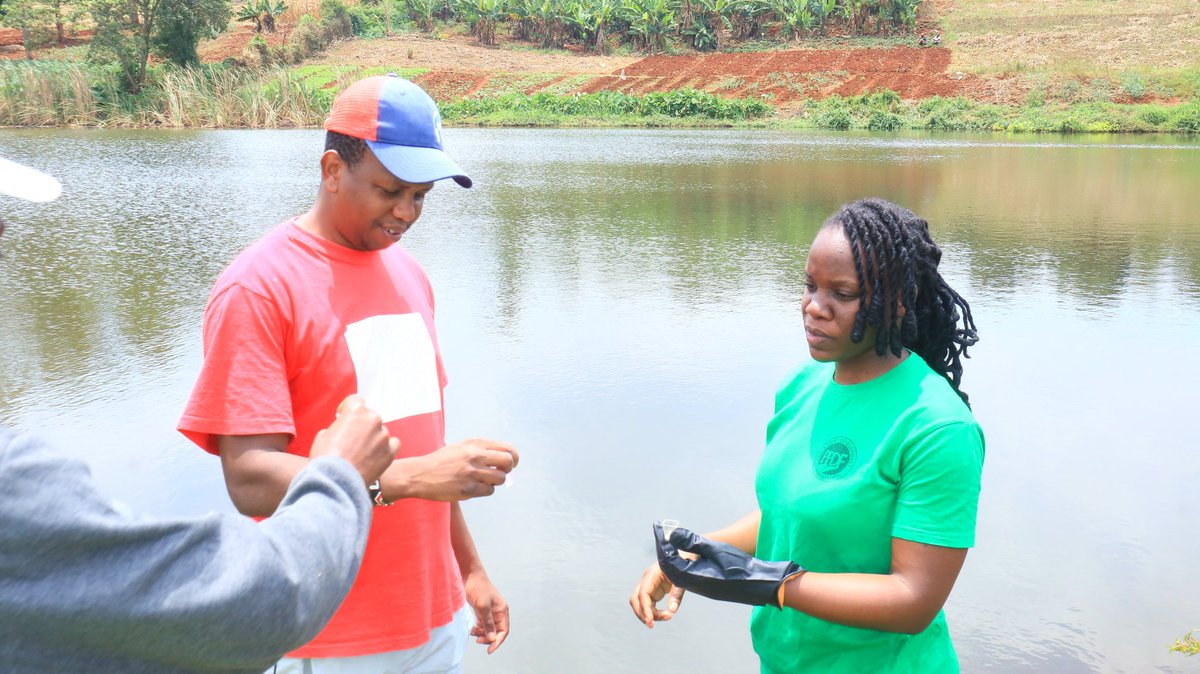 Citizen Science in Action!

This week, we rolled up our sleeves at Gumba Dam for a citizen science activity under the WezeshaProject. Together with the, Wetland Conservation Organisation, Roysambu Green Foundation and Starehe Kienyeji Green Growers CBO.