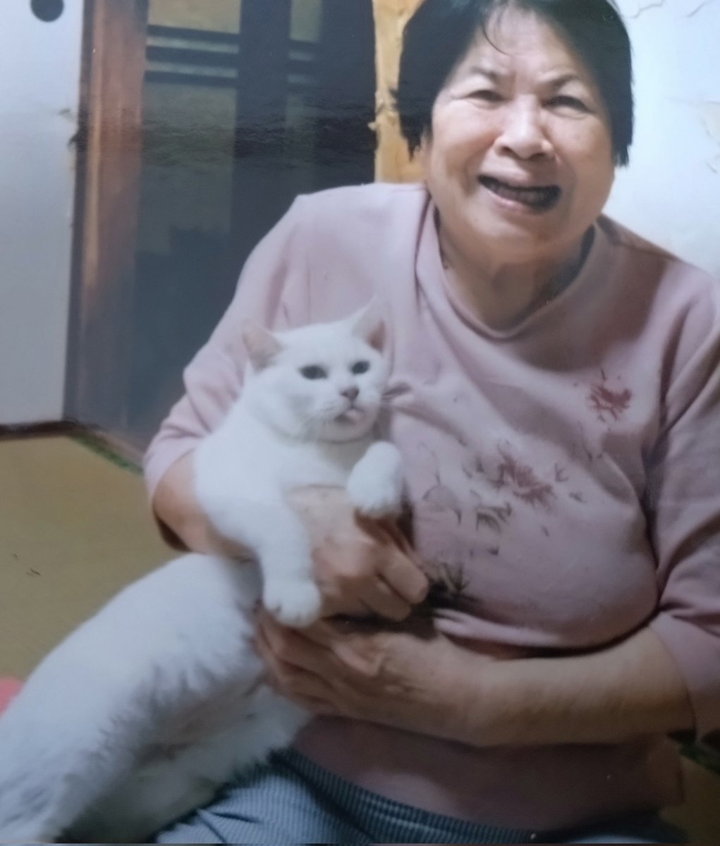 今日は母の命日(2018年永眠)

愛猫4匹残しての旅立ち

さぞ心残りだっただろう

僕に悲しんでる時はなかった

4猫、実家、、どうする！

東京の仕事を辞め、福岡へ引越し

4猫はしっかり引き継いだ(その後くろすけ、ちろも天国へ)

お母さん、色々ありがとう

#猫好きさんと繋がりたい
#猫のいる幸せ
