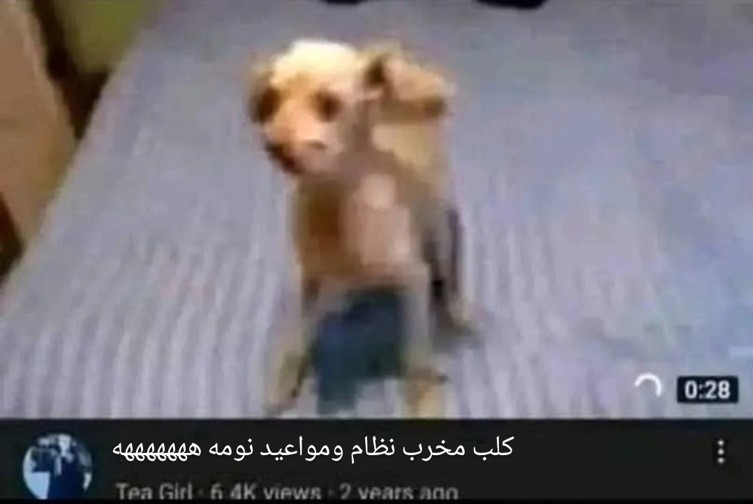 تَرتِـيلاا الغاضبة. 😡🐢 (@_hopeless_case_) on Twitter photo 