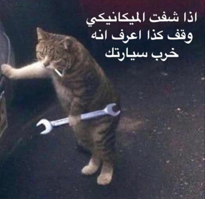 moodd52's tweet image. ونا اشهد حصل اليوم 🙂‍↕️