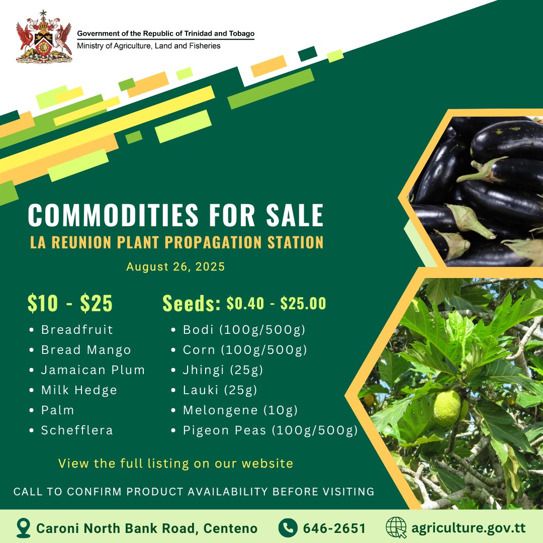 maftt_'s tweet image. ASD Commodities For Sale: Aug. 26, 2025

Calling all farmers and home gardeners! Check out the latest range of agricultural commodities available from the Agricultural Services Division (ASD):
agriculture.gov.tt/divisions-unit…

Let’s grow together!

#MALF #ASD #AgriculturalServicesDivision