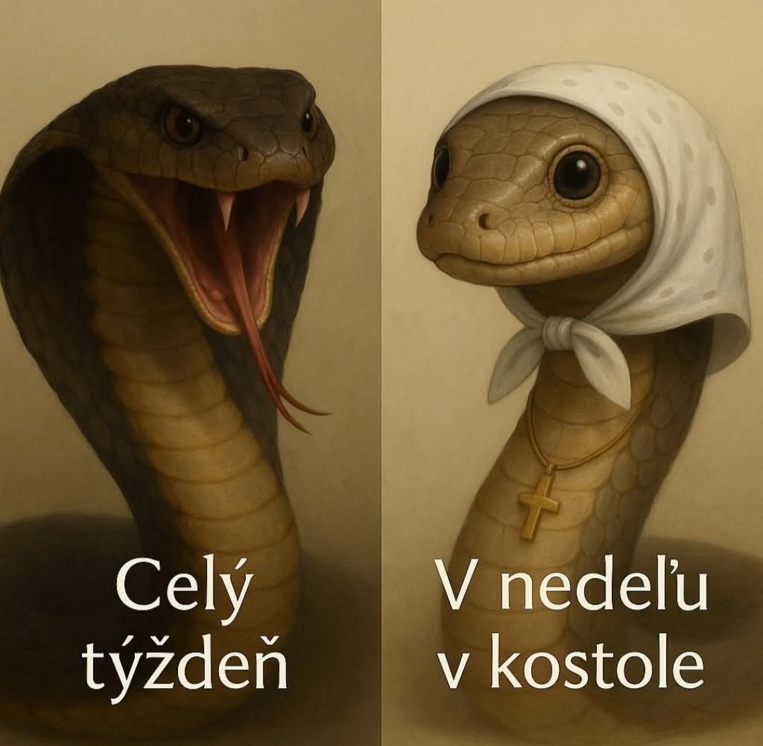 Dedinské dôchodkyne s kvetinkovými profilmi v skratke. 🤷‍♂️