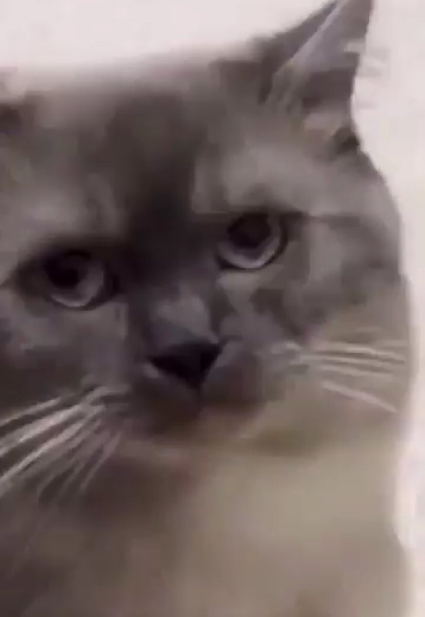 #TheSims4 #TS4 #AdventureAwaits
#ExpansionPack #EP Simmers! 👋 BIG NEWS, AGAIN! 😶‍🌫️ "The Sims 4: Adventure Awaits - Expansion Pack 20" - First Look! 😲
My mood, again: 😳 *Picture*