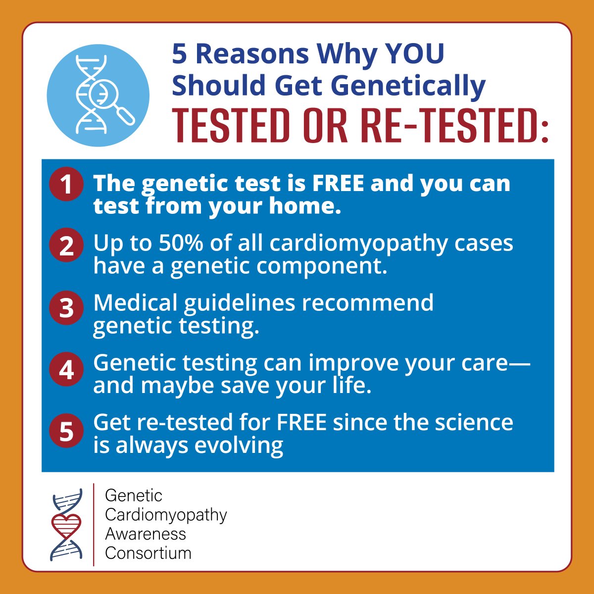 Did you know that you can now get genetically tested or re-tested for free❓

Genetic testing can improve your care and maybe help save your life and the lives of your loved ones🧬❣️

Learn more at the link below⬇️
geneticcardiomyopathy.org/get-tested/

#Cardiomyopathy #1in100 #GeneticTesting