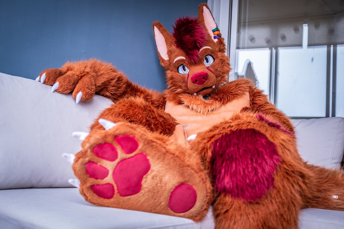 Cookiefenfen @ bsky ๐ช (@kakdough) on Twitter photo Gosh! I just love long hikes, but mind giving me a paw massage afterward? Pretty please ๐ณ๐ฅฐ
#FursuitFriday
๐ธ: <a href="/Nyuff_TheFox/">Nyuff_TheFox</a> Gosh! I just love long hikes, but mind giving me a paw massage afterward? Pretty please ๐ณ๐ฅฐ
#FursuitFriday
๐ธ: <a href="/Nyuff_TheFox/">Nyuff_TheFox</a>
