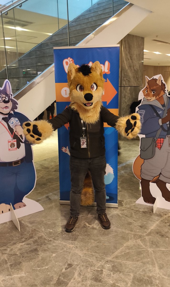 Dj Wolfe tweet media