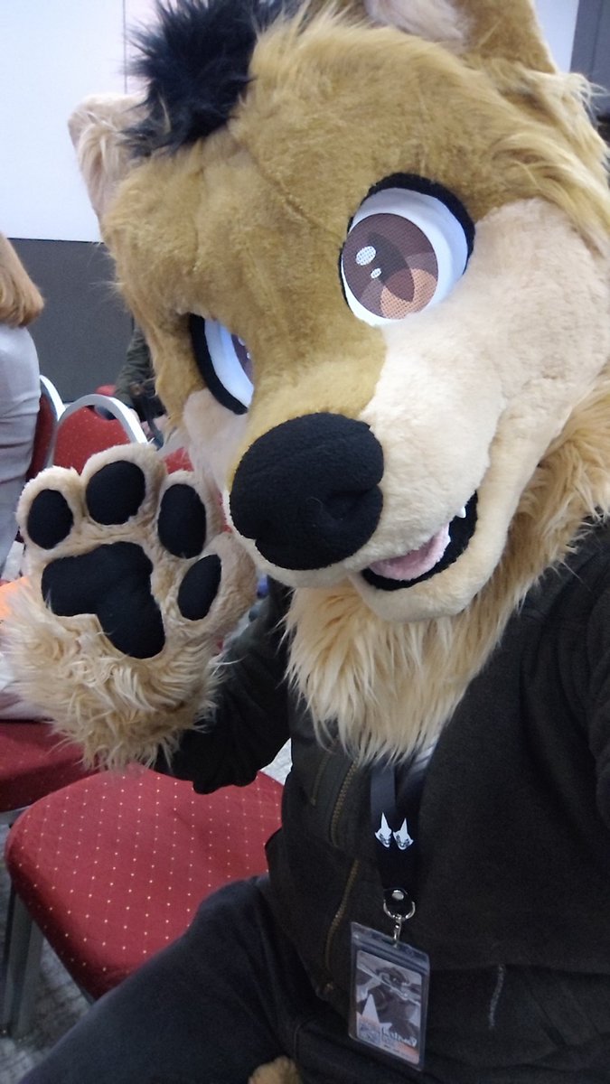 Dj Wolfe tweet media