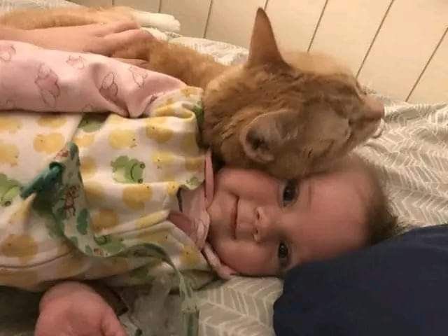 𝑲𝒊𝒅𝒔ᡣ𐭩 (@twilingy) on Twitter photo 