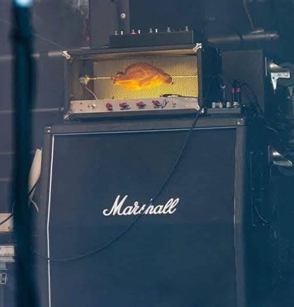 Y'all wanna know what amp I use to make my guitar tones?
There you are