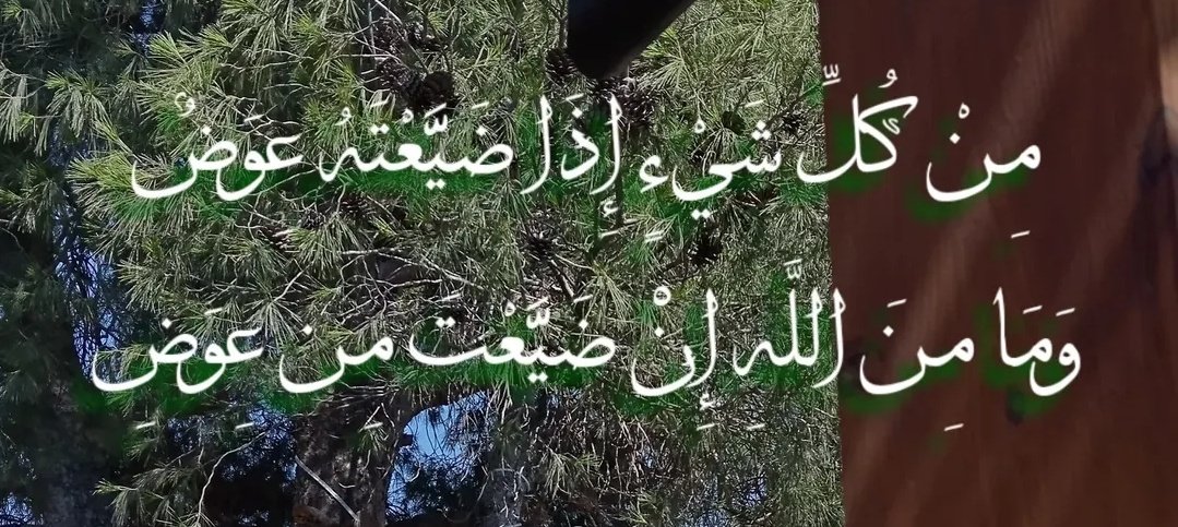سين (@sn02q) on Twitter photo 