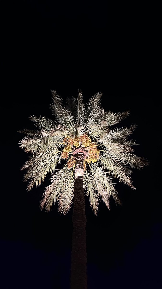 عبدالله tweet media