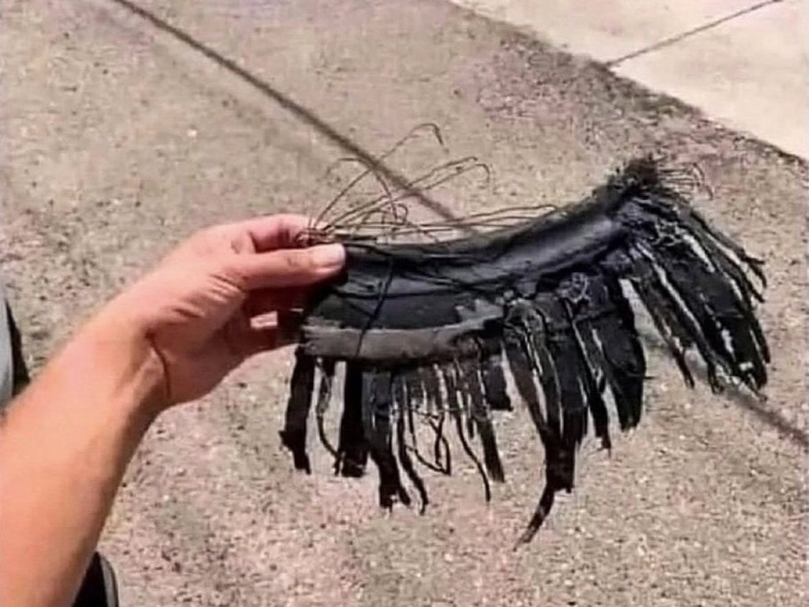 Commonsenseprevails tweet media