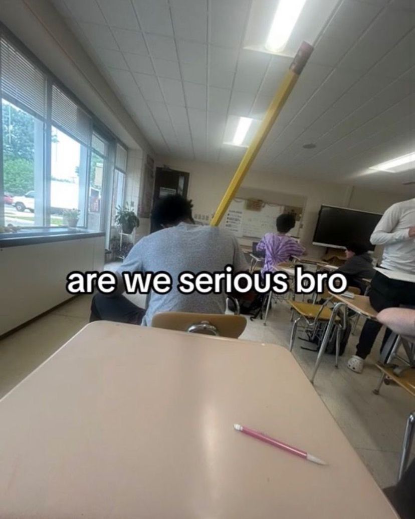 Wild Posts tweet media