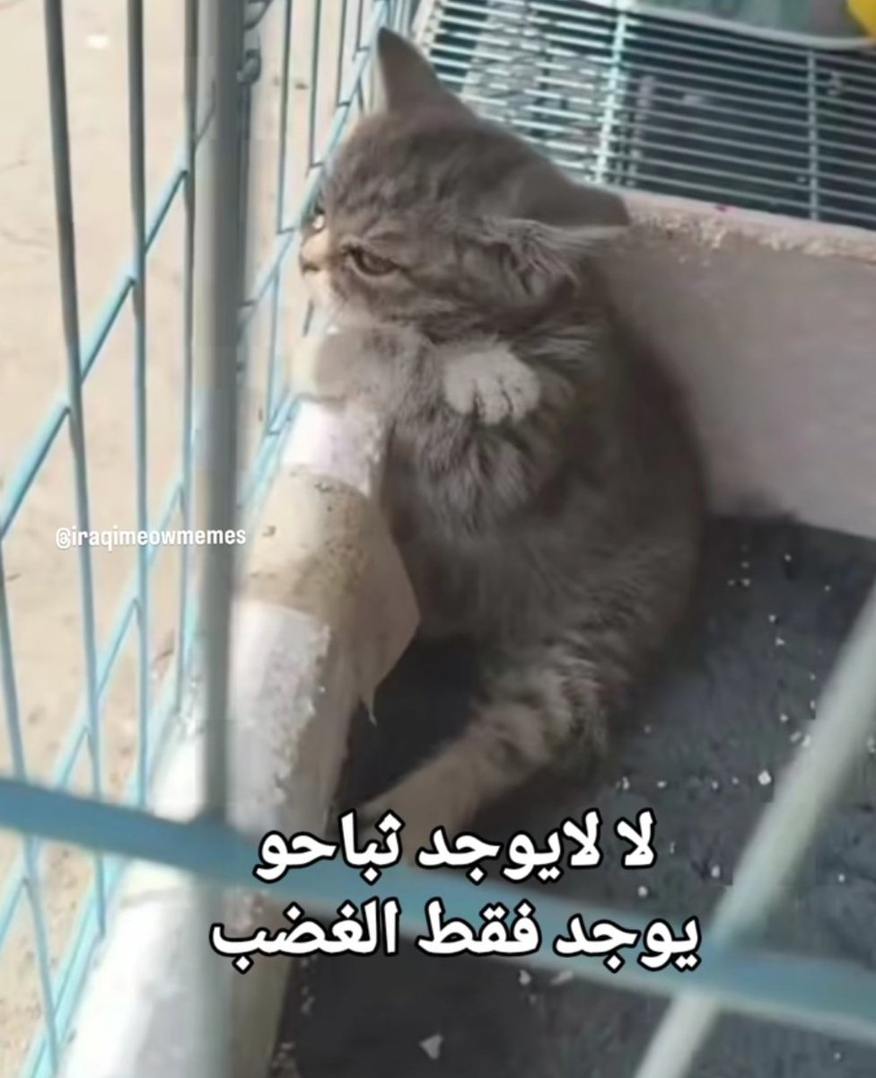 محدشششش راضي يروح معايا حفلة تامينو