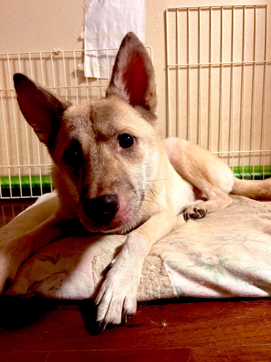 GOOD MORNING
本日のリキさん♪