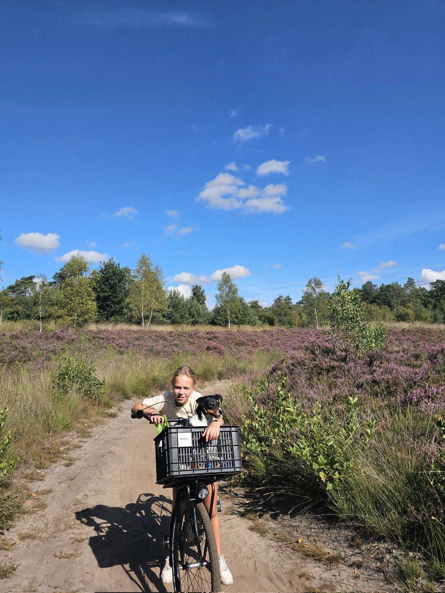 GeurtRoekel's tweet image. Het was weer fantastisch!🤗 #ginkelsehei #ede @BuienRadarNL @RTLnieuws