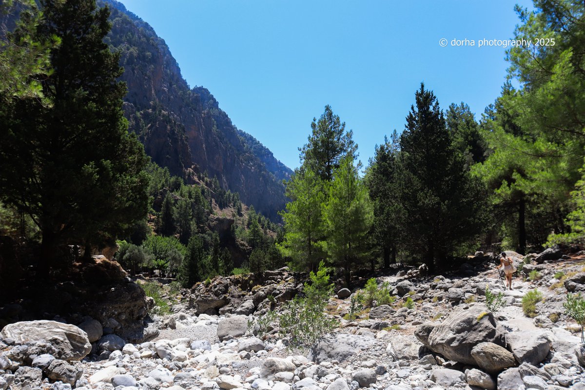 #Greece #crete #LandscapePhotography #Forest #Mountain #canon #GORGESamaria
🏞️🌳🌲🥰
Stay on your path