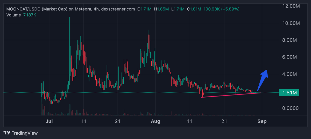 Neexzy.eth tweet media