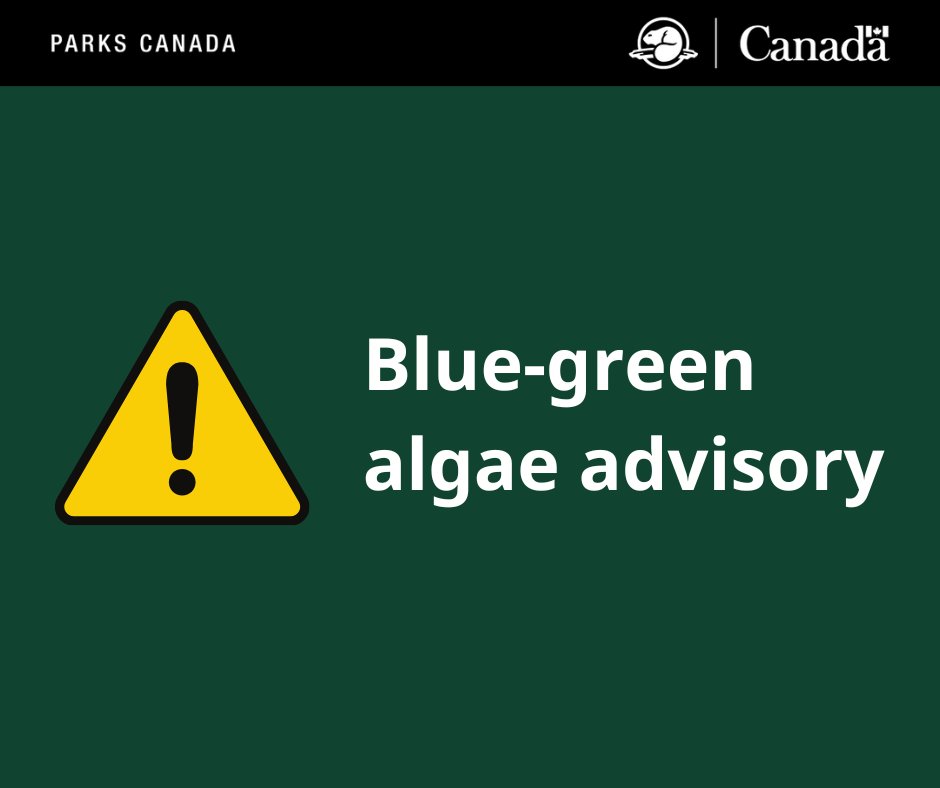 ⚠️ Parks Canada is advising visitors that blue-green algae may be present in Waskesiu Lake. It may also be present in other areas of the park.
For more information:
ow.ly/UHwK50WNTjA