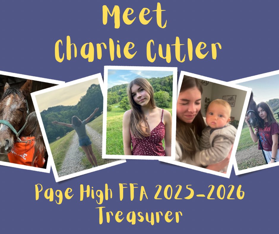 Page High FFA tweet media