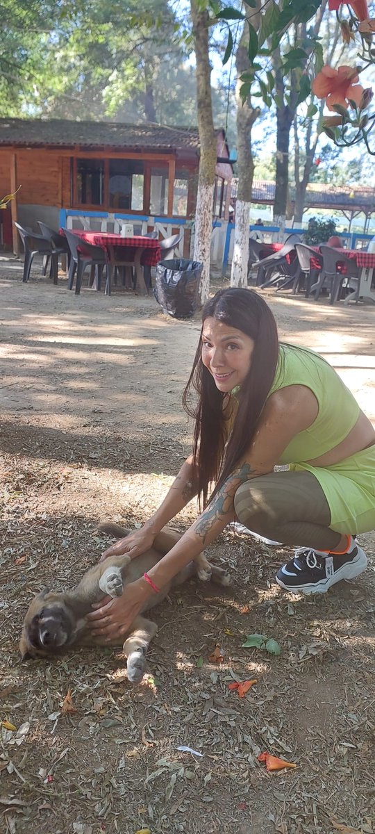 Bu hayvanlar melek. Onları sevmeyenlere inat bız sevecegız. Tüm ruhumuzla