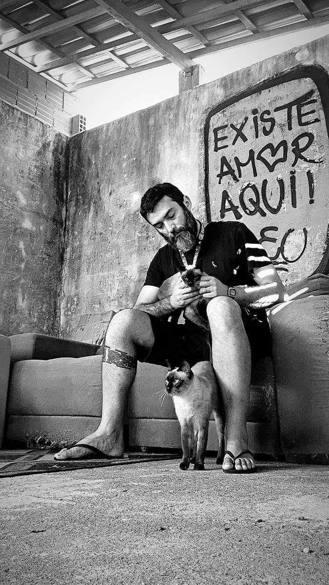 _matheusveras's tweet image. 