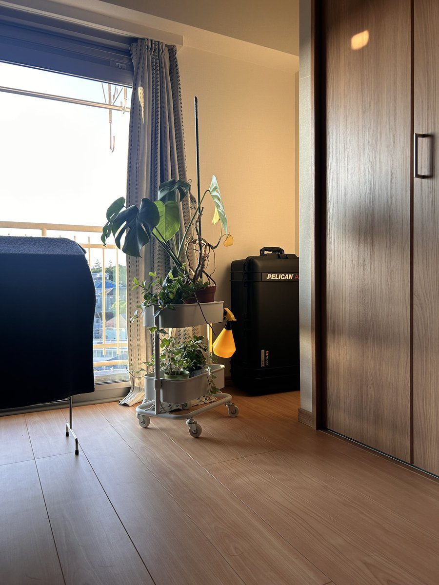 今日も暑くなるんでしょうね…