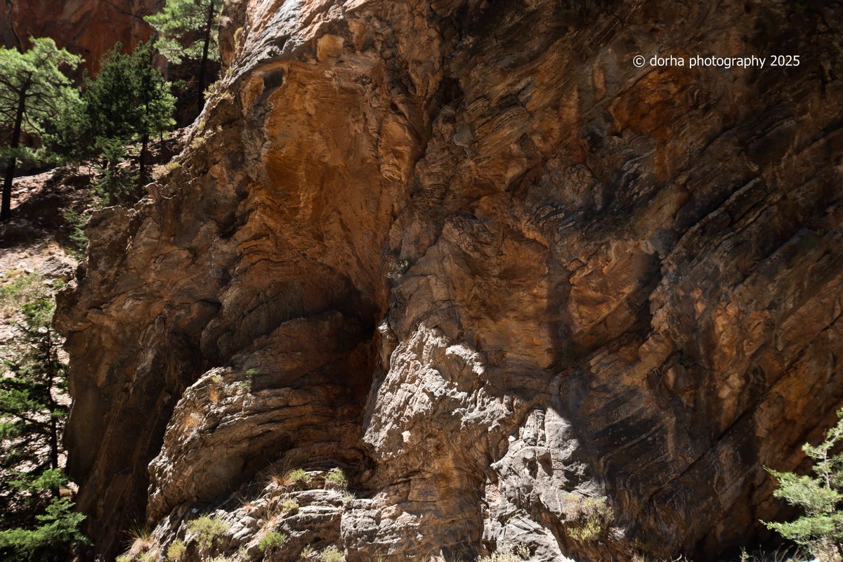 #rocks #mountains #gorgeSamaria #Greece
#photographylovers 
🇬🇷🏞️⛰️🌲🥰