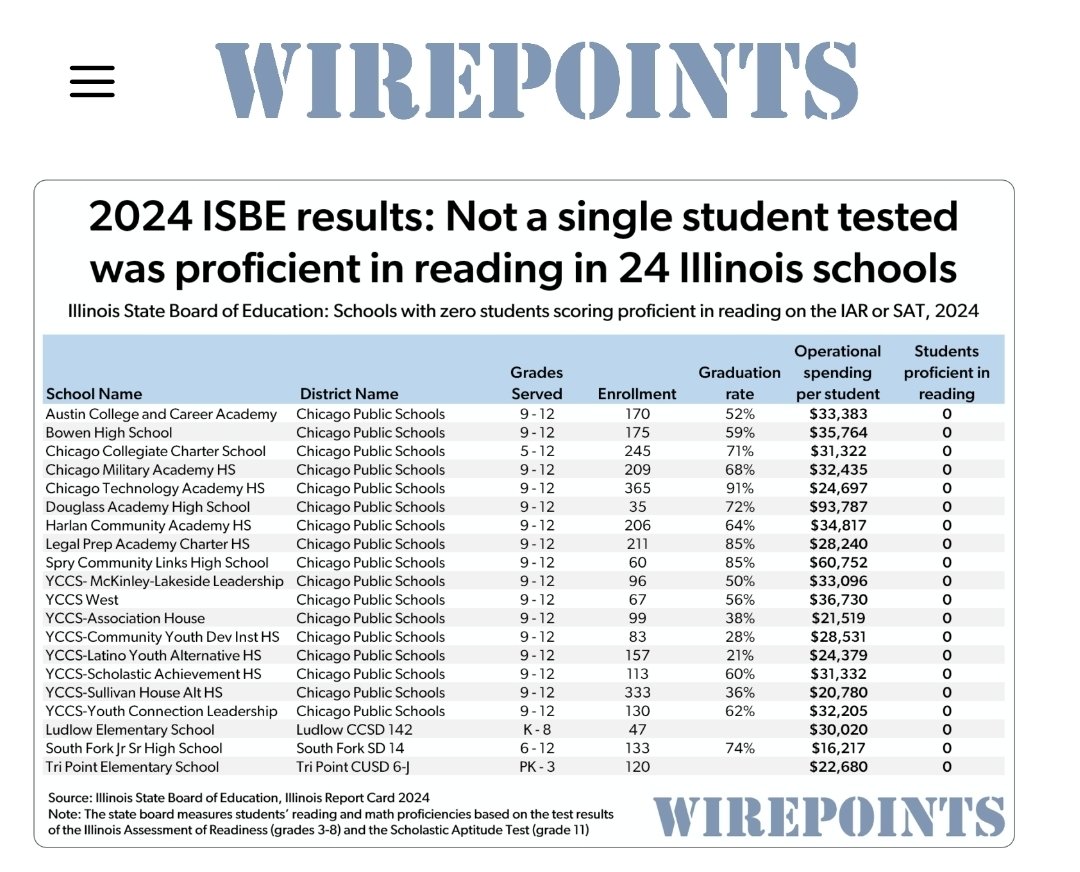 Not a single child was proficient in reading in 24 public schools in Illinois.