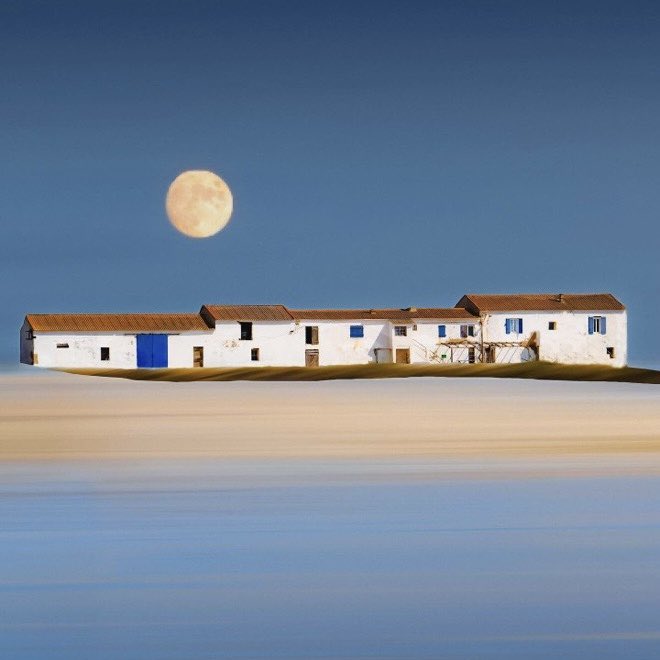 •
—————— 🐬🩵🐬🩵
“One’s life has value so long as one attributes value to the life of others, by means of love, friendship, and compassion.”
    - Simone de Beauvoir 
—————————— 🐬🩵🐬🩵
•