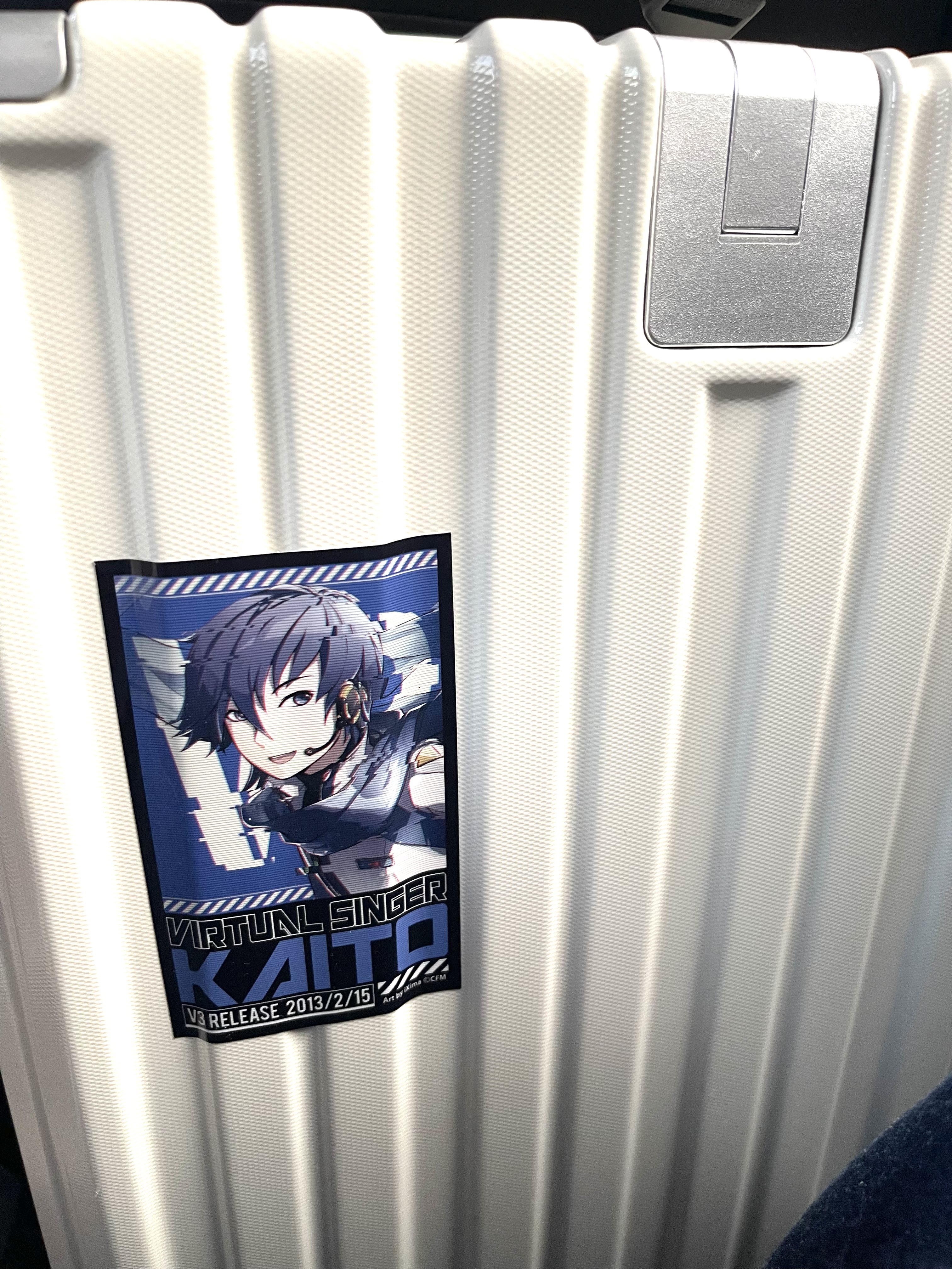 れんれん Men's Nike P-6000 Shoes US 10.5 Sail Wolf Gray Y2K Runner