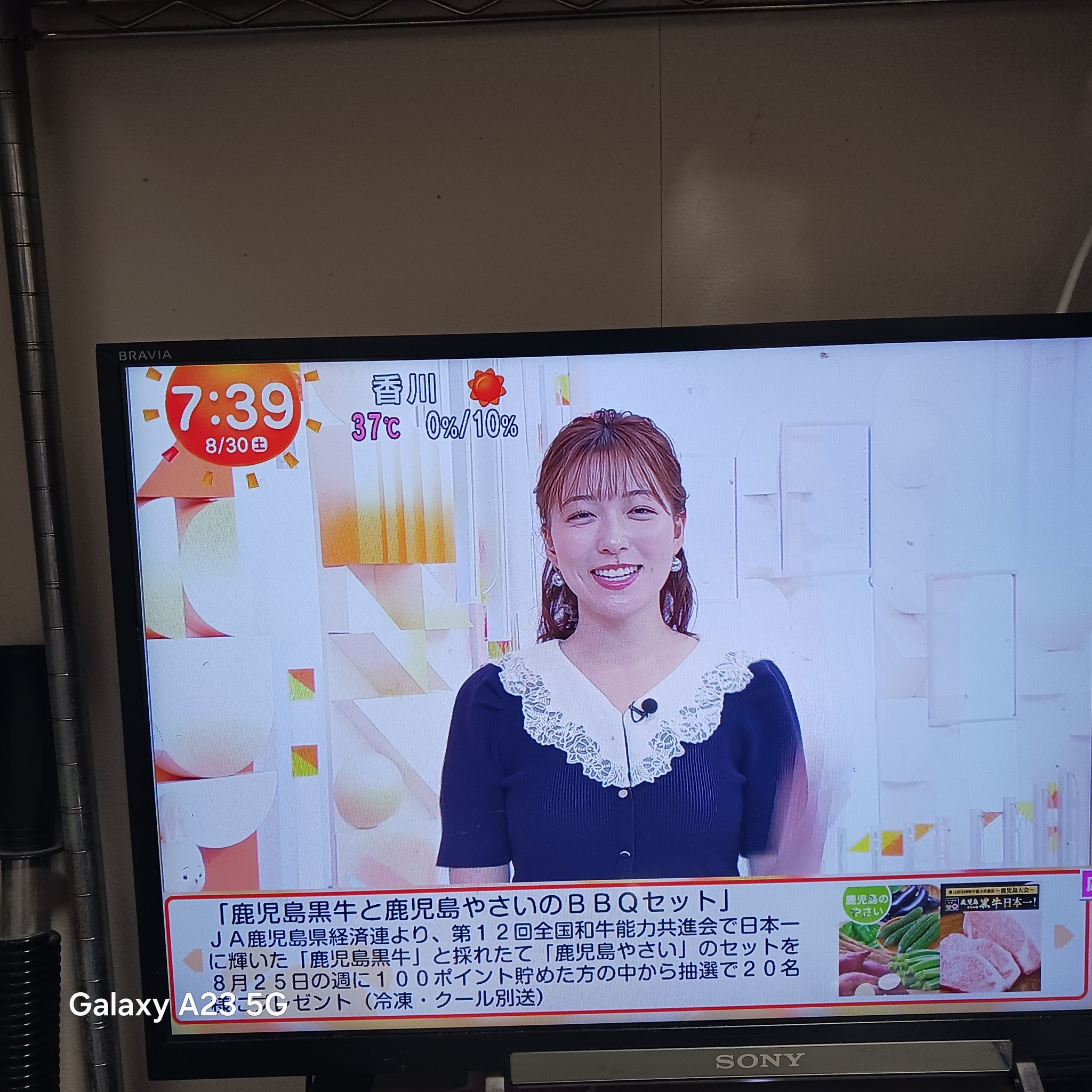 けんけん様　キャスター やっち on X: 