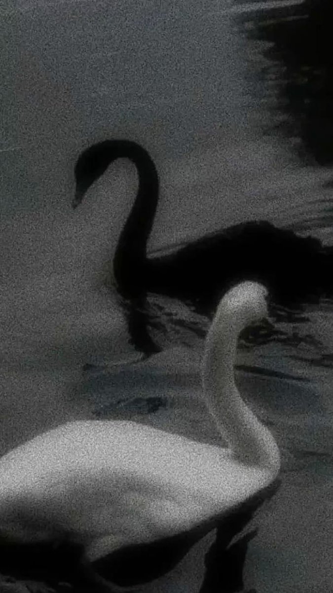 Black. (@blackdreamvibes) on Twitter photo 