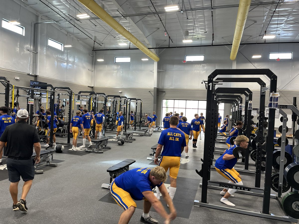 Pre-game primer ✅ All Cats. All In.