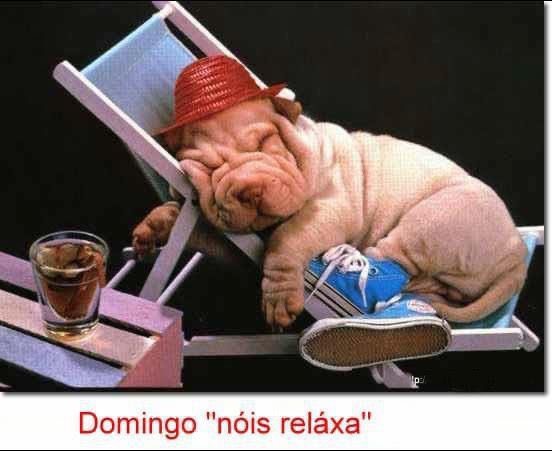 #GoodNight TO ALL WHO LOVE, DEFEND, RESPECT, ADOPT AND HELP ANIMALS!!🙏🙏🐾🐾🦙🐄🦒🐐🐎🦘🦌🐖🦬🐕🐏🐃🐩🐑🐂🐆🐋🐡🦓🦈❤️❤️❤️🌹🌹🌹🌹🇧🇷🇮🇱🇺🇦