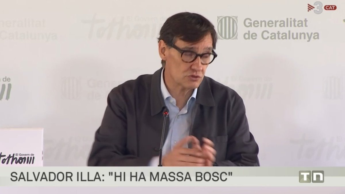 pepcapdevila1's tweet image. Com que hi ha incendis el President Illa diu que: “Hi ha massa bosc”.
Quina afirmació tant poc encertada. Si seguim aquesta lògica, surten autèntiques barbaritats, com la que ha dit el President:
Electrocucions de fauna—&amp;gt; Hi ha masses cigonyes 🧵👇